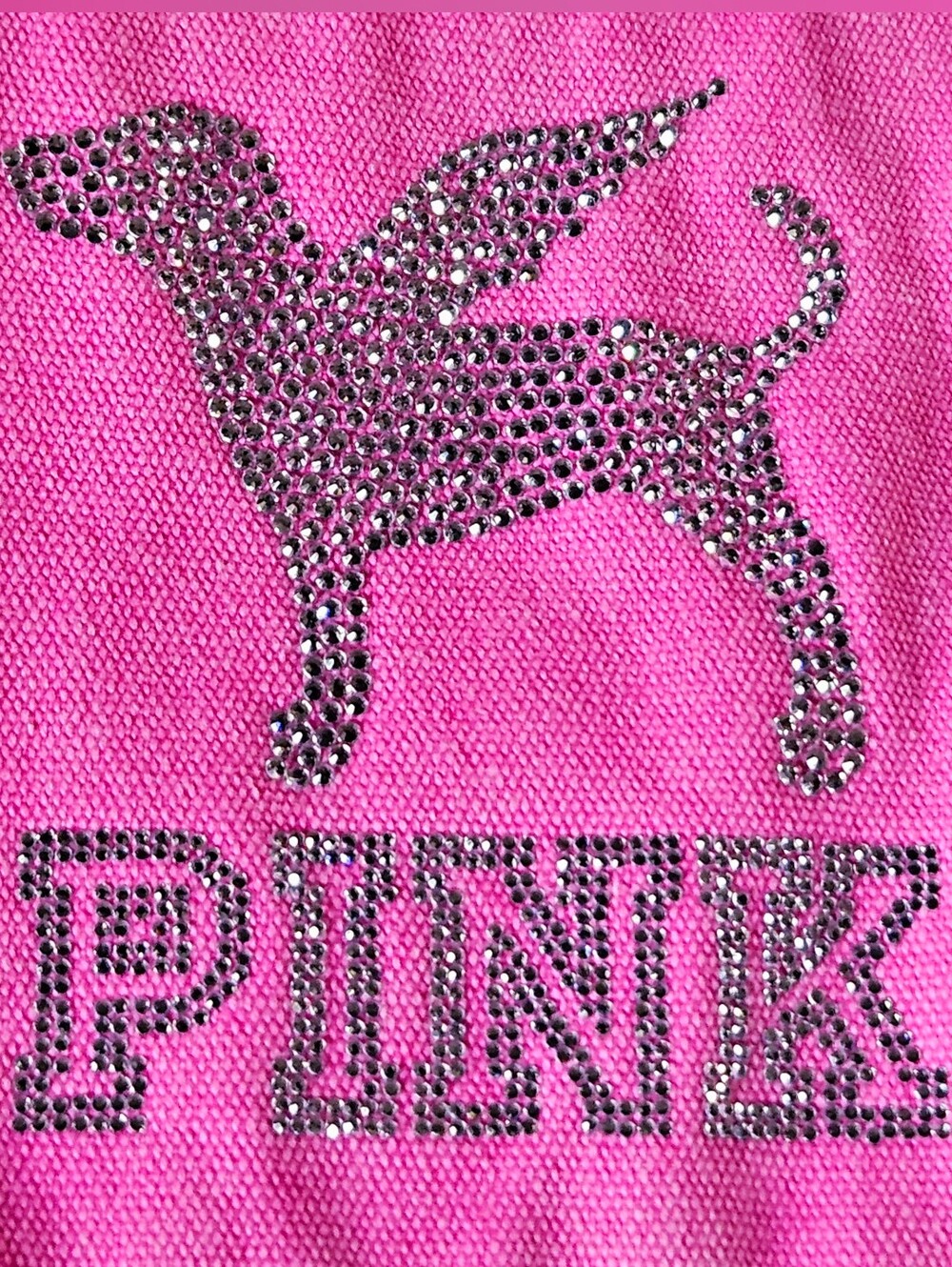 Victoria's Secret Fashion Show WATCH PARTY KIT PINK BLING DOG FLAT BOTTOM TOTE